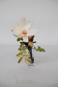 magnolia 20092